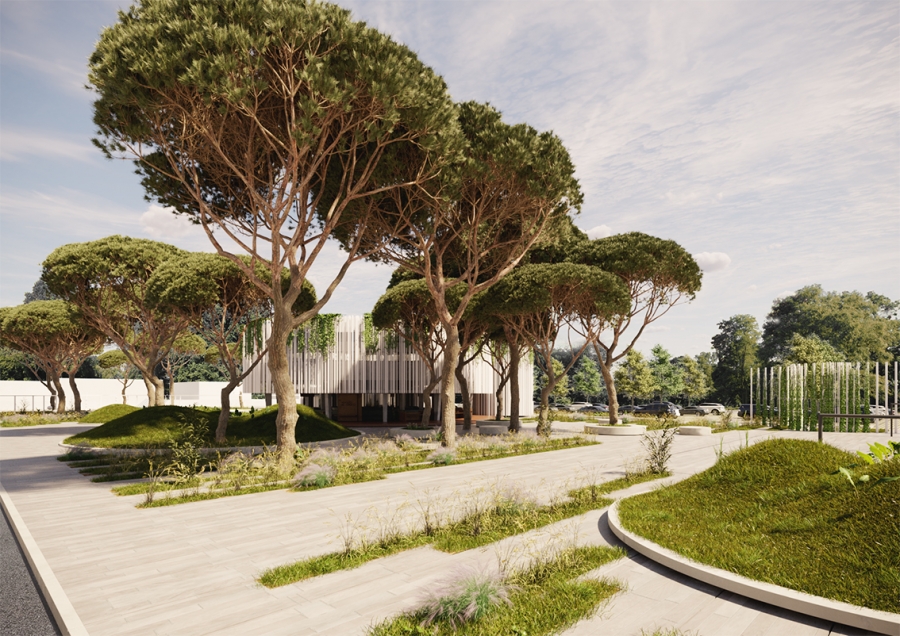 PIAZZA G